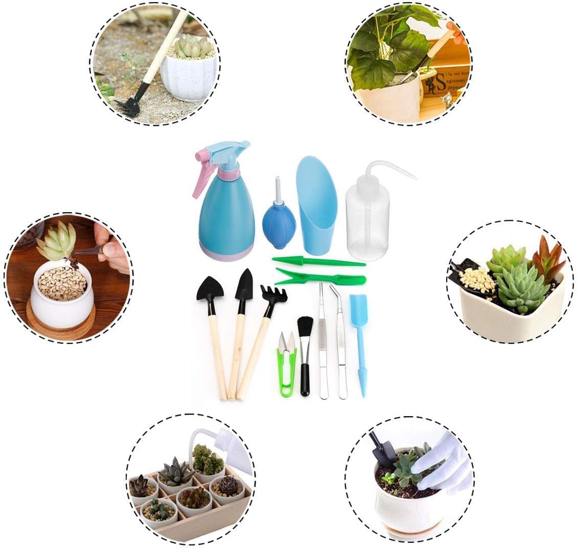 Zevolim| Succulent Garden Tool Set with Spray Bottle and Accessories