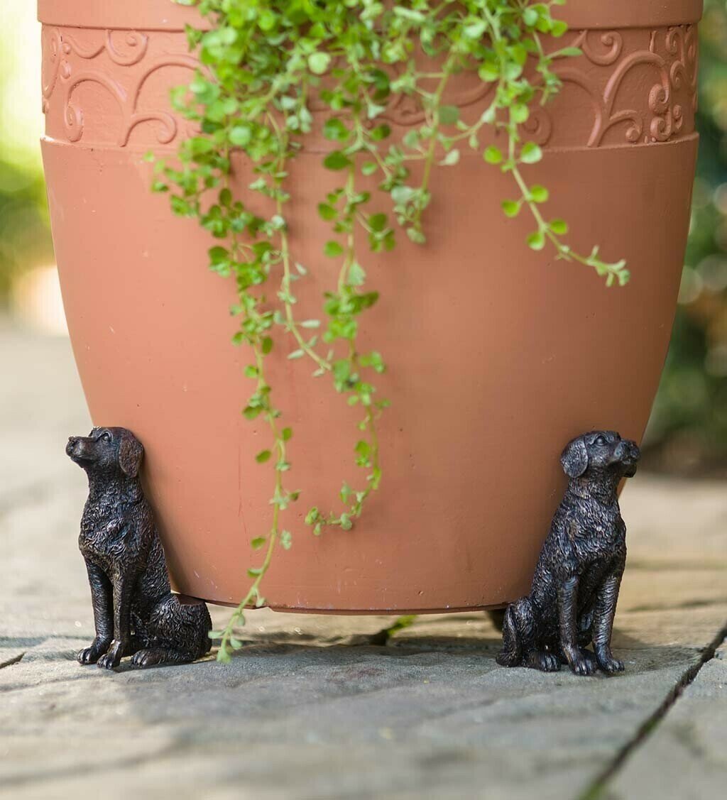 Zevolim| Potty Feet Plant Pot Feet