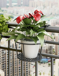 GrünMeister — Showcase your green paradise stylishly without drilling or rust!