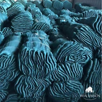 Zevolim| AgriNet Pro Garden Net UV-resistant Tearproof Versatile Plant Protection Custom sizes Available