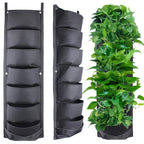Zevolim| WallPots Stylish Vertical Gardening