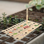 Zevolim| Wood Plant Ruler – Multifunctional Seed Measuring Tool for Garden