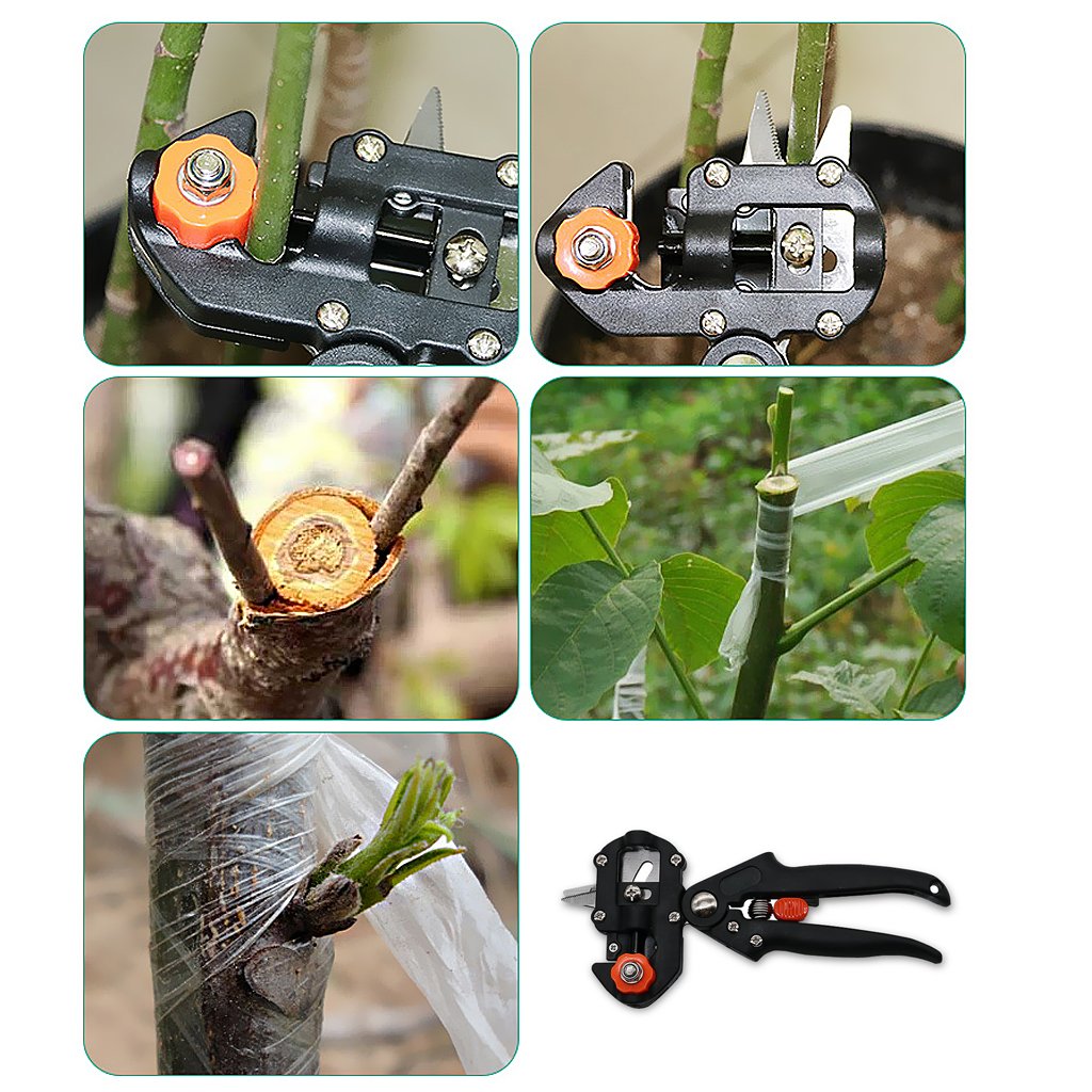 Zevolim| Grafting and cutting tool set for precise plant grafting