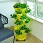 Zevolim| Stackable Plants Pot - 6 Trays+ Wheel Tray