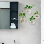 GlasOase — Bring Your Walls to Life with Fresh Nature Power and Style