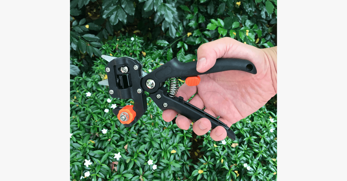 Zevolim| Nifty Gardener's Graft – Improve Your Gardening Skills!