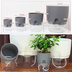 Zevolim| Self-watering Hydro-Flower Pot