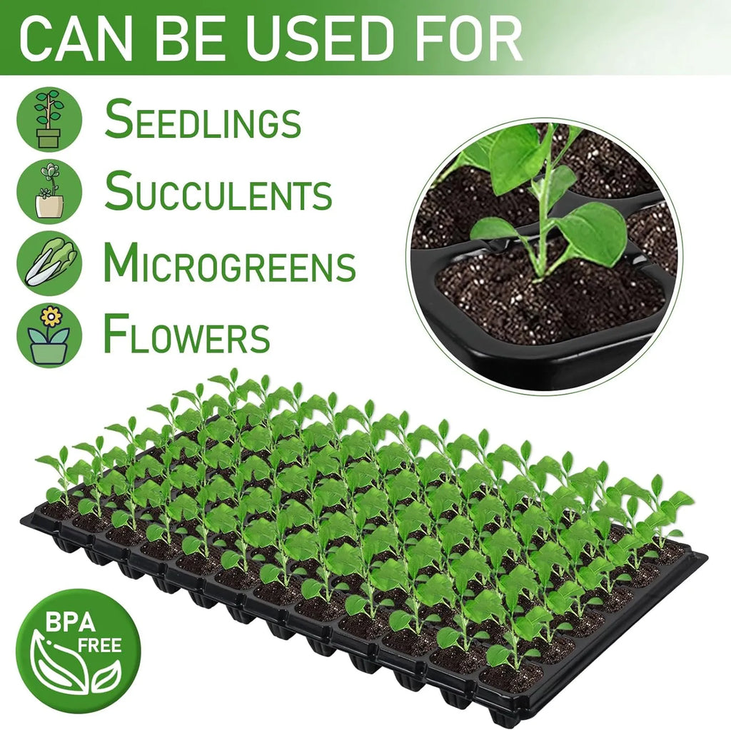 Zevolim| Rectangular Plant Bowl – Seedling Tray for Efficient Germination and Growth of Seedlings