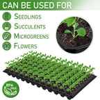 Zevolim| Rectangular Plant Bowl – Seedling Tray for Efficient Germination and Growth of Seedlings