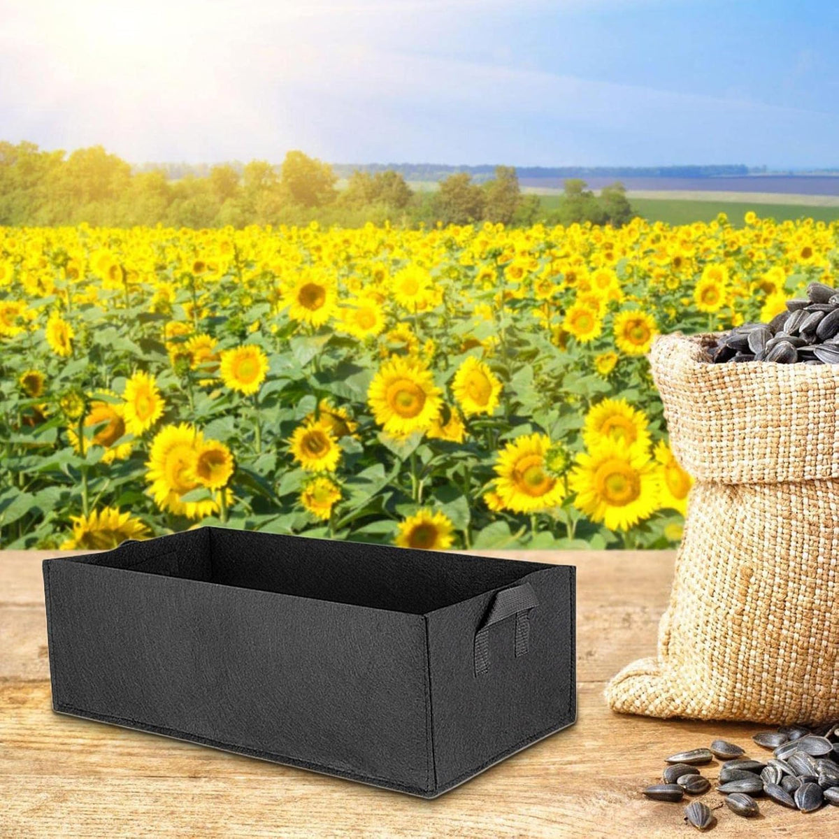 Zevolim| Foldable storage box made of felt for plants with handles