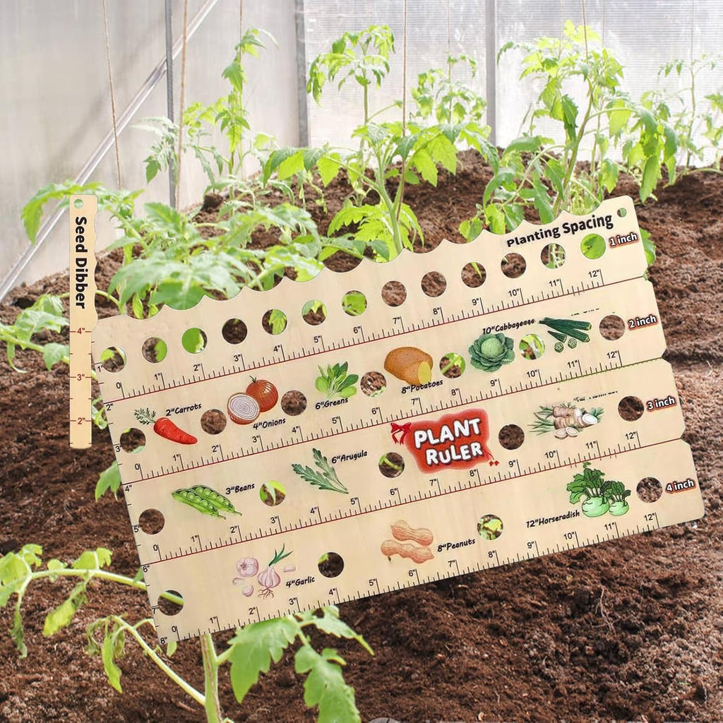 Zevolim| Wood Plant Ruler – Multifunctional Seed Measuring Tool for Garden