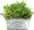 Zevolim| Decorative flower and garden container made of metal with hemp rope handles