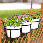 Zevolim| Hanging Plant Basket made of Metal – Balcony Planter Pot with Hook for Garden and Terrace