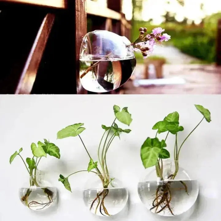GlasOase — Bring Your Walls to Life with Fresh Nature Power and Style