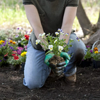 Zevolim| Genius gardening gloves with claws