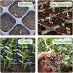 Zevolim| Rectangular Plant Bowl – Seedling Tray for Efficient Germination and Growth of Seedlings