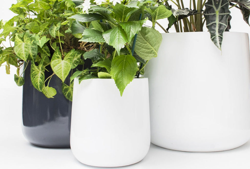 Ainslie Fiberglass Planter - Mid-Century Modern Glossy Bullet Pot, Outdoor / Indoor (10" / 13" / 16")