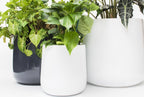 Ainslie Fiberglass Planter - Mid-Century Modern Glossy Bullet Pot, Outdoor / Indoor (10" / 13" / 16")