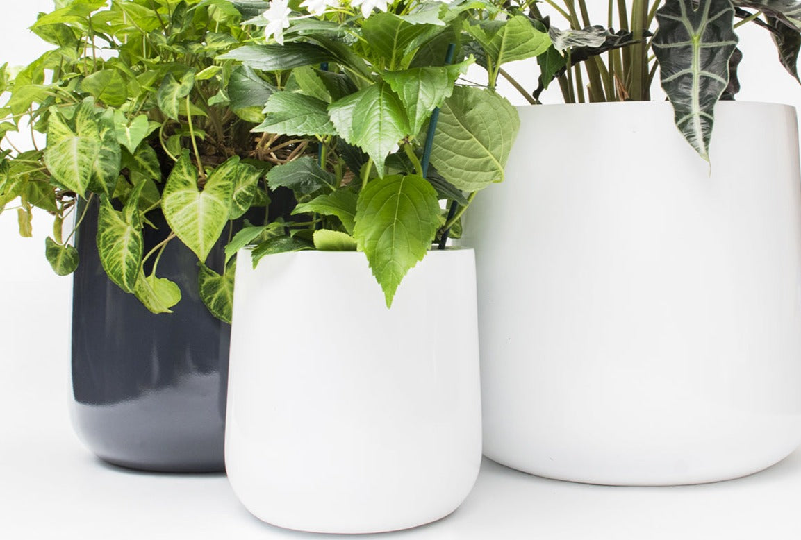 Ainslie Fiberglass Planter - Mid-Century Modern Glossy Bullet Pot, Outdoor / Indoor (10" / 13" / 16")