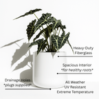Ainslie Fiberglass Planter - Mid-Century Modern Glossy Bullet Pot, Outdoor / Indoor (10" / 13" / 16")