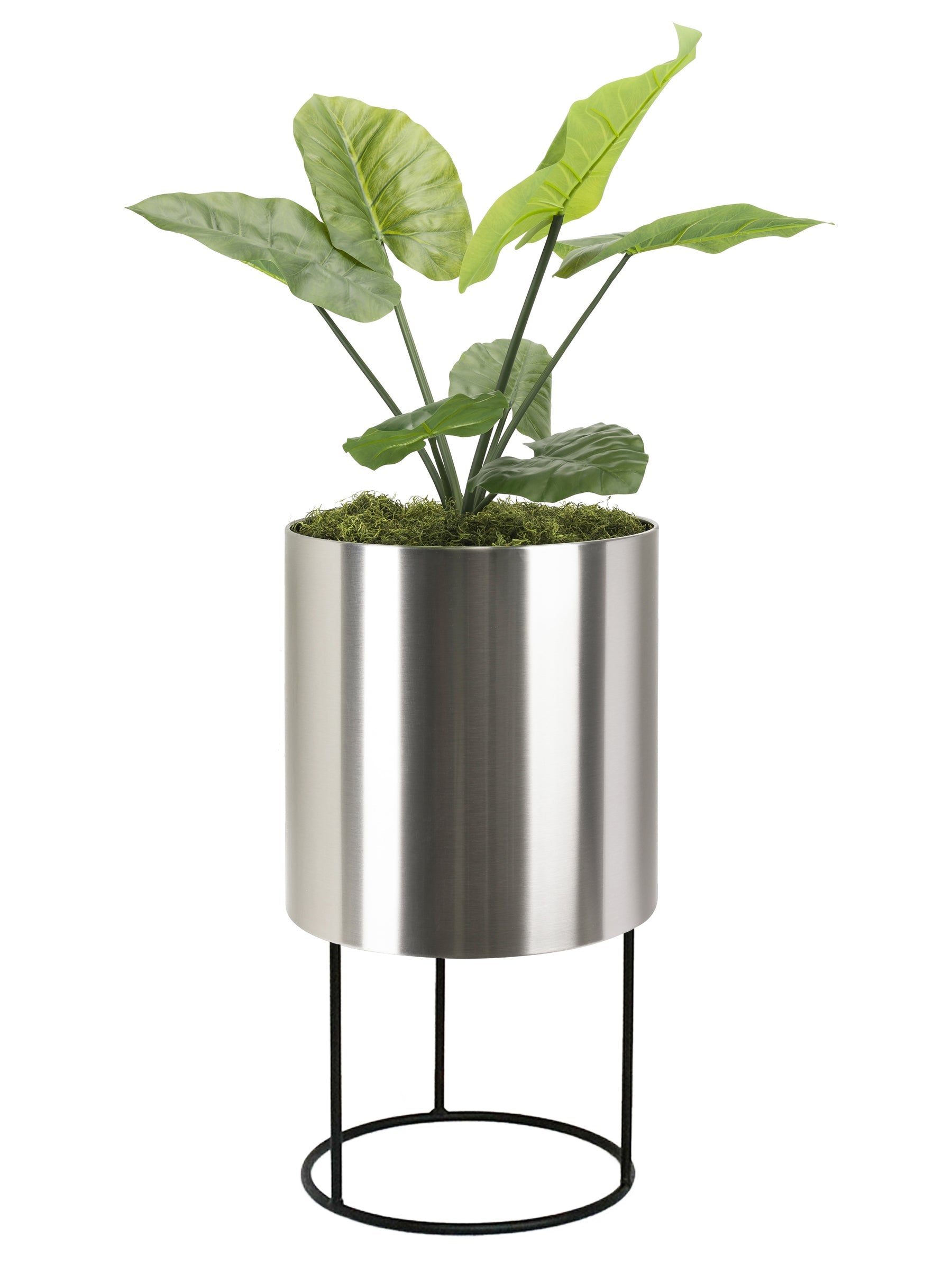 Knox Cylinder Metal Planter w/ Iron Stand - Modern Architectural Stainless Steel (18/8 Heavy Duty) Raised Pot, Surface-Safe, Indoor / Outdoor ( 21.5" / 33" Tall)