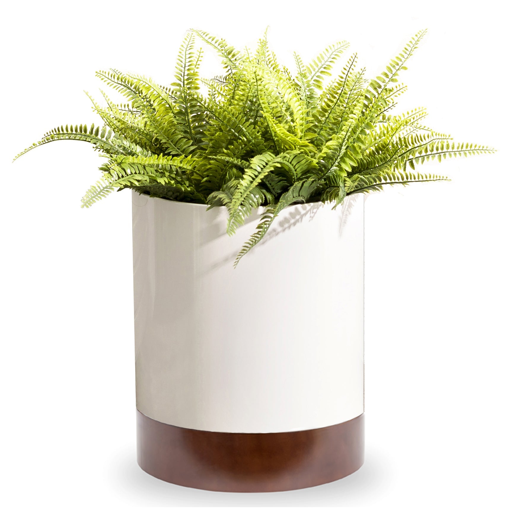 Knox Cylinder Indoor Planter w/ Hardwood Base - Organic Modern Architectural, Stainless Steel (18/8 Heavy Duty), Surface-Safe (15.5" Tall / 22.5" Tall)