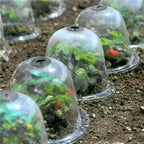 Zevolim| Frost Protection Clear Garden Plant Cover