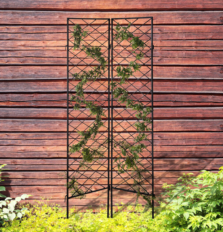 Katerina Garden Screen - Architectural 72" Tall Wrought Iron Metal Trellis (2) Panels w/ Feet