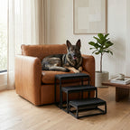 Shana Pet Steps - Modern 19" Tall, Wide Metal Dog Stairs for Small - Large Dogs (180 lbs)