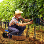 Zevolim| GrowGlide – Garden ergonomically in every corner!