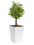 Madeira Conica 20" Tall Planter - Modern Architectural White Steel Tapered Pot, Fiberglass Lining w/ Drainage - Indoor / Outdoor