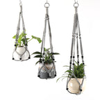 Plant Hanging Hanger Bowlift
