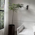 Modern Decorative Wall Planter