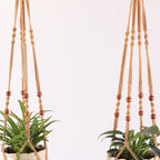 Plant Hanging Hanger Bowlift