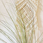 Macrame Wall Hanging Plant Holder Bowlift