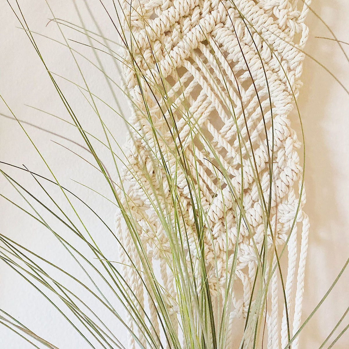 Macrame Wall Hanging Plant Holder Bowlift