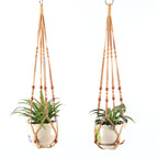 Plant Hanging Hanger Bowlift