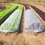 Garden Protective Tunnel Cover Bowlift