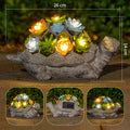 Solar Turtle Succulent Planter With LED Lights Textured Resin Garden Statue Bowlift