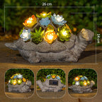 Solar Powered Succulent Turtle Garden Planter Night Light Ornament Bowlift