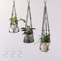 Plant Hanging Hanger Bowlift