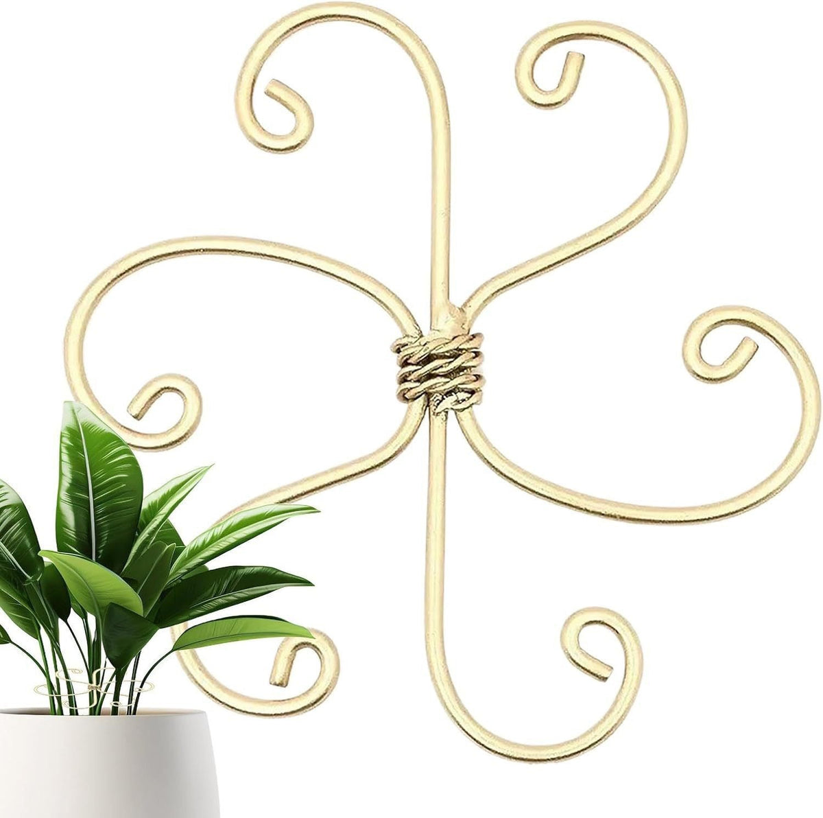 Elegant Decorative Wall Hook Bowlift