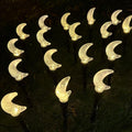 Crescent Moon Solar Garden Stake Lights With Textured Acrylic Diffuser And Warm White LED Bowlift
