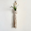Macrame Plant Hanger with Decorative Tassels Bowlift