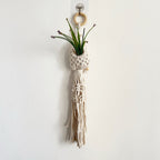 Macrame Plant Hanger with Decorative Tassels Bowlift