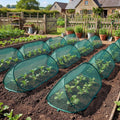 Garden Plant Protection Bowlift