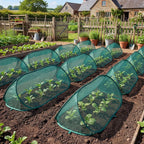 Garden Plant Protection Bowlift