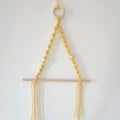 More elegant Macrame Plant Hanger Bowlift
