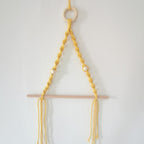 More elegant Macrame Plant Hanger Bowlift