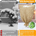 Premium Garden Plant Protector Bowlift